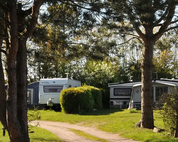 Rosenholm Camping — photo 5